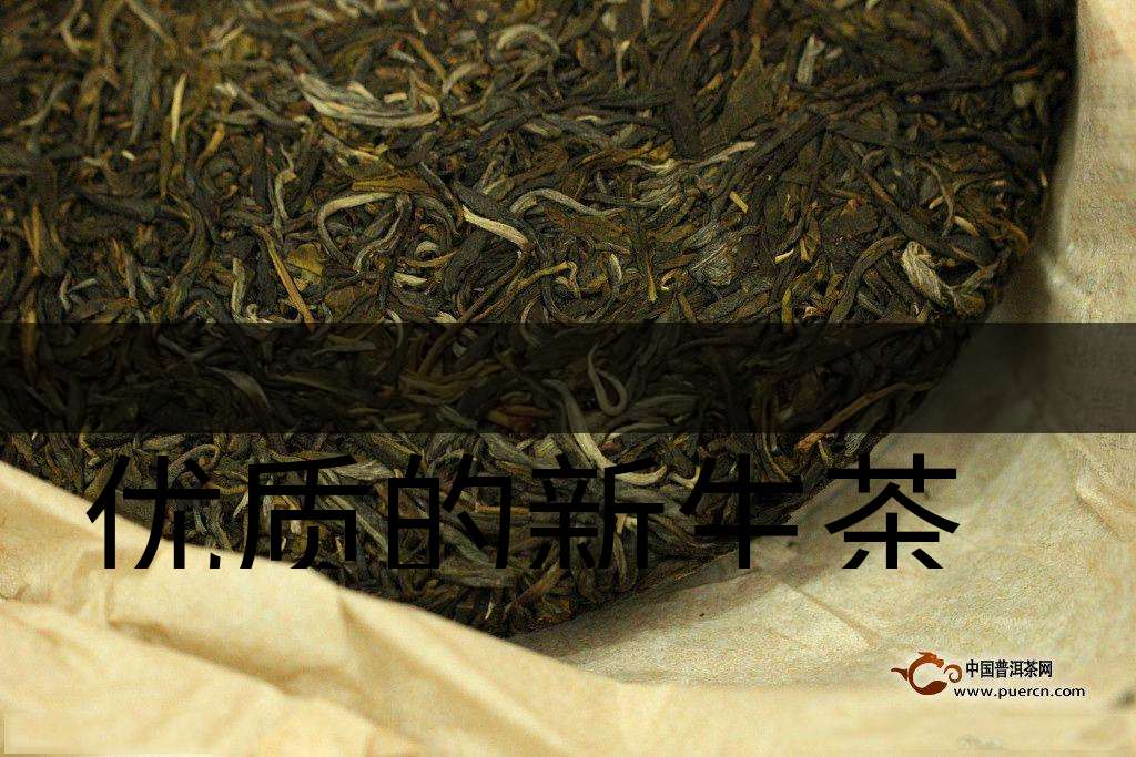 優(yōu)質(zhì)的新生茶是什么樣的？