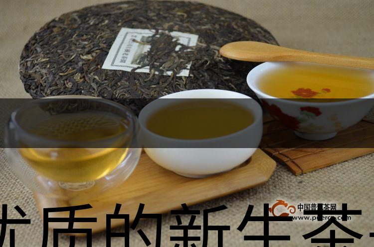 優(yōu)質(zhì)的新生茶是什么樣的？-1