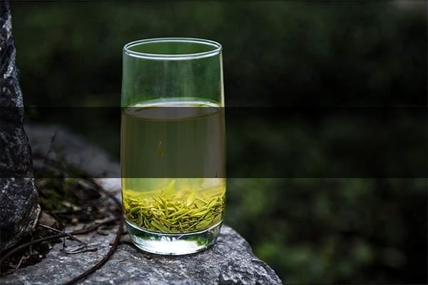 pick春茶攻略！