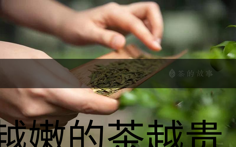 越嫩的茶越貴，但越貴的茶就越好嗎？