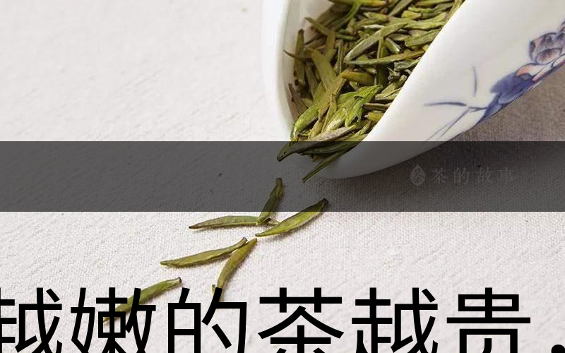 越嫩的茶越貴，但越貴的茶就越好嗎？-1
