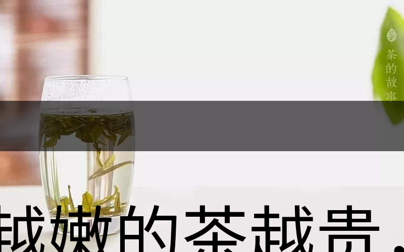 越嫩的茶越貴，但越貴的茶就越好嗎？-2
