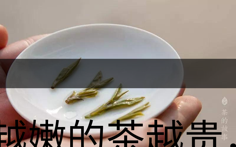 越嫩的茶越貴，但越貴的茶就越好嗎？-3