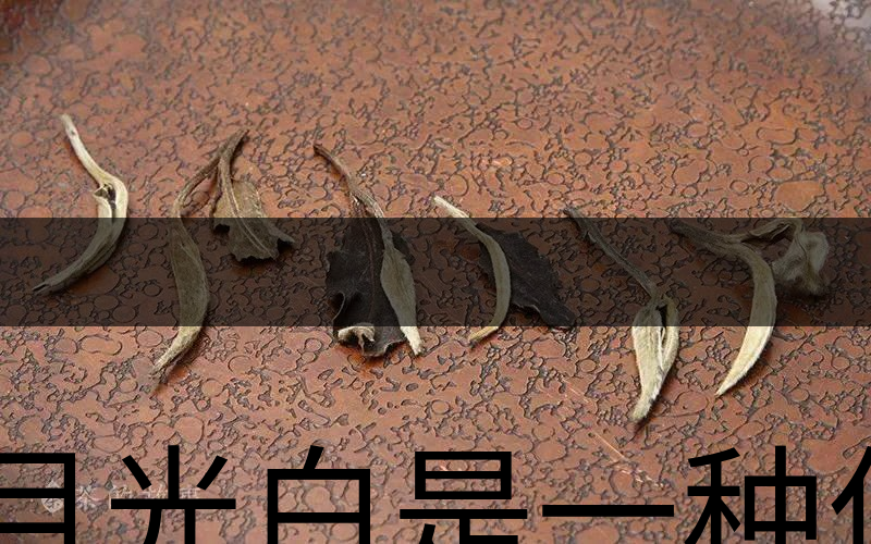 月光白是一種什么茶？-1