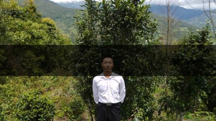 云南省景東縣茶業(yè)概況簡述(第五章) 云南省景東縣茶業(yè)概況簡述(第五章)