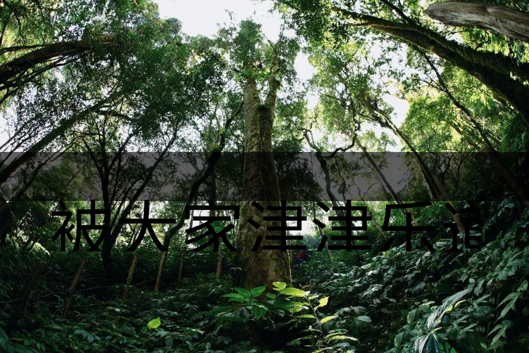 被大家津津樂道的森林茶，你知道是什么？-6-1