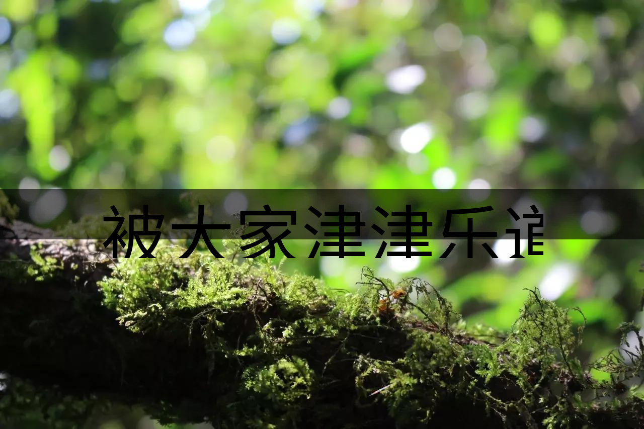 被大家津津樂道的森林茶，你知道是什么？-8-1