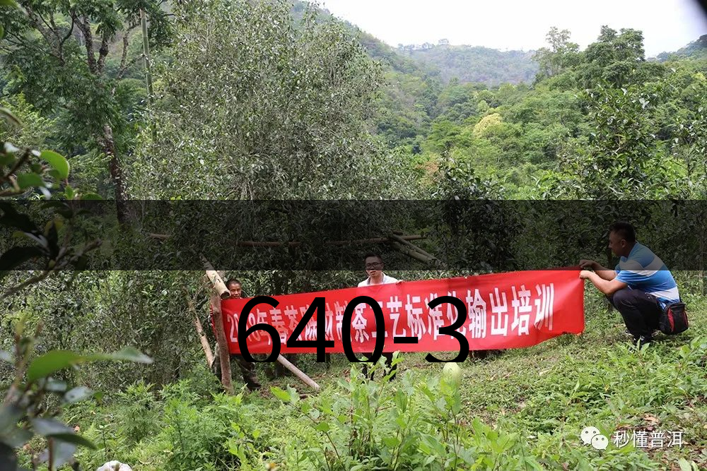 640-3