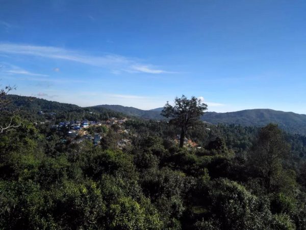 蘭香賀開，甘甜賀開