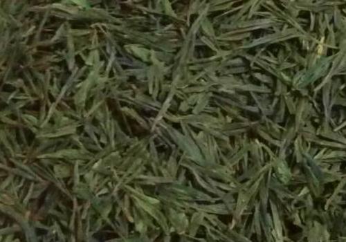 什么是海青茶？沖泡手法詳細教學！