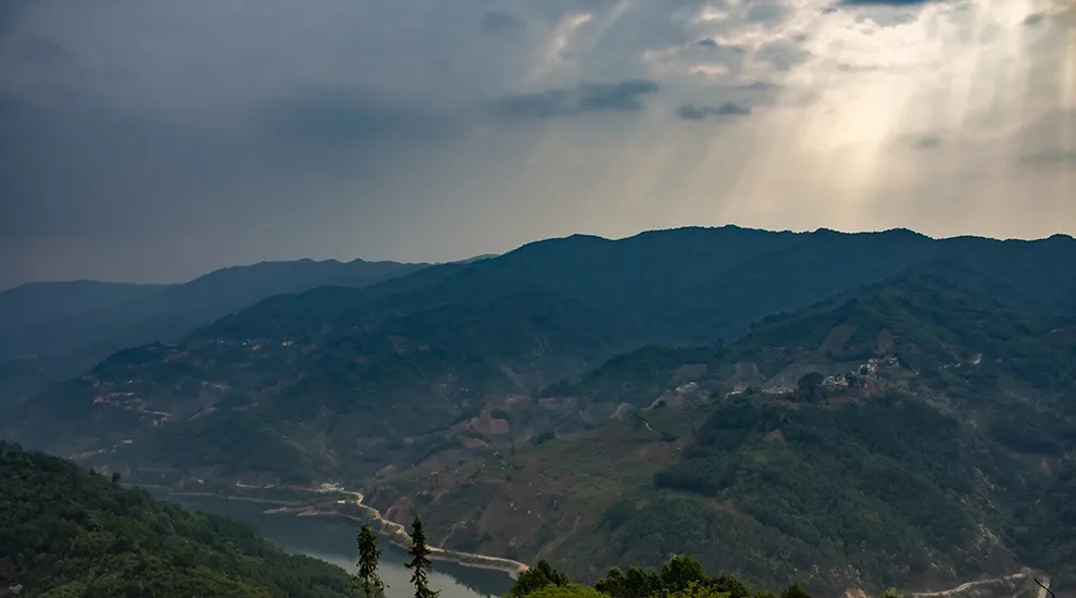 2021年磨烈：風(fēng)頭正勁的后起之秀，到底有何特點(diǎn)？