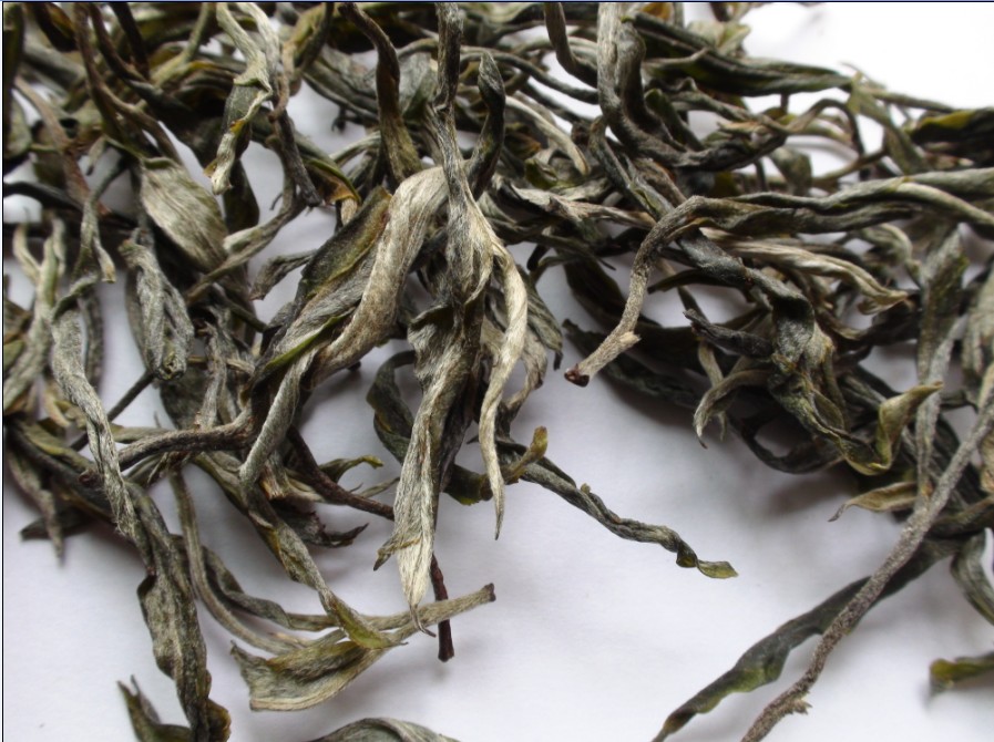 2021年馬鞍山古樹秋茶價格？