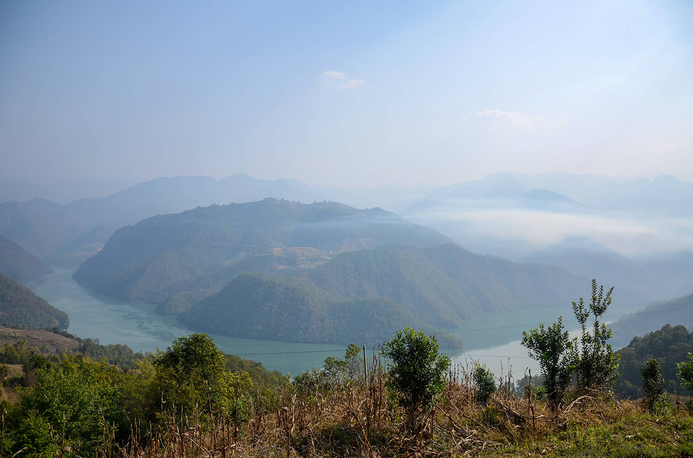 2021年白鶯山古樹秋茶，佛茶有什么魅力？
