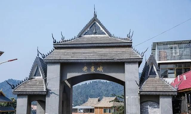 2021年老曼峨古樹秋茶特點？