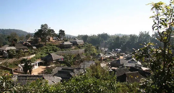 2021年班章茶區(qū)壩卡竜古樹秋茶多少錢一公斤？