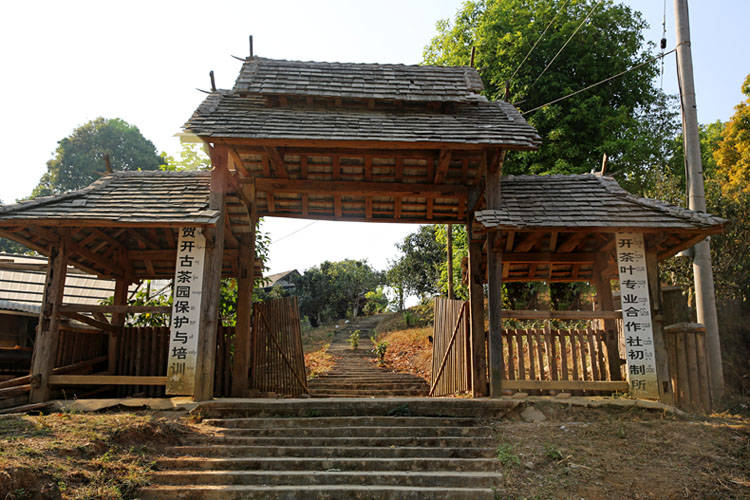 2021年賀開古樹秋茶特點？