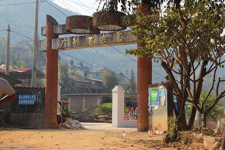 2021年廣別老寨古樹秋茶口感？