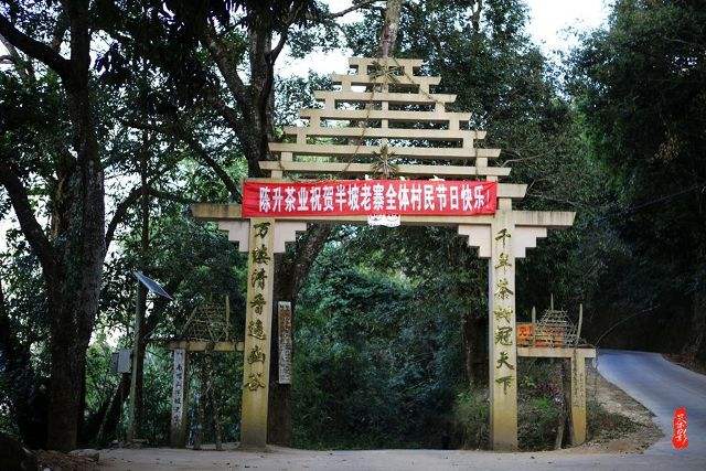 2021年南糯山半坡老寨古樹秋茶價格？