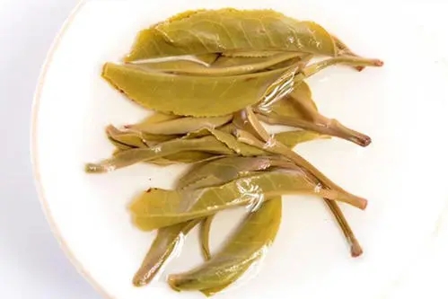 2021年南糯山拔瑪老寨古樹秋茶多少錢一公斤？