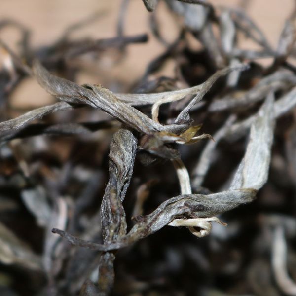 2021年帕沙古樹秋茶，你了解多少？