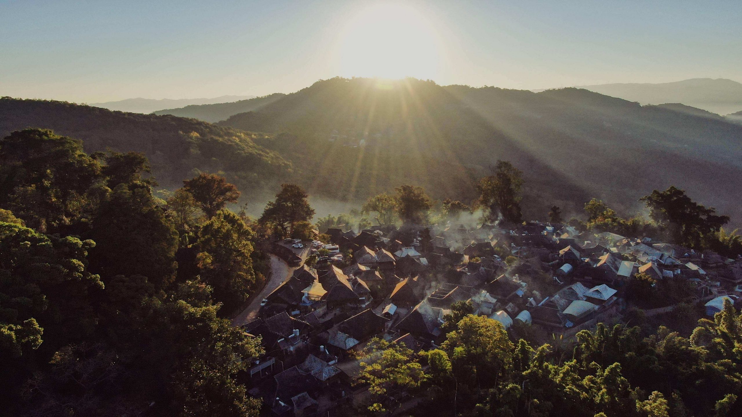 2022年景邁山古樹春茶特點(diǎn)？