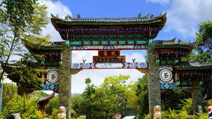 2022年易武正山在哪？易武正山是什么意思？