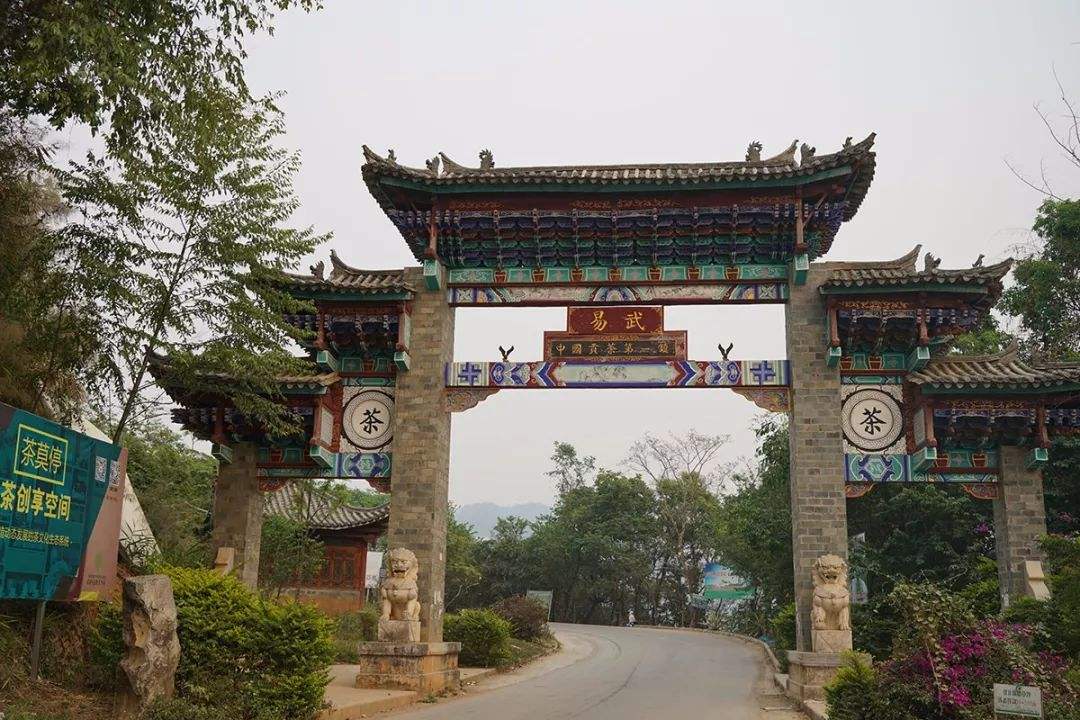 2022年易武正山古樹春茶特點(diǎn)？