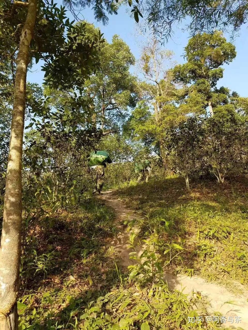 2022年刮風(fēng)寨茶王樹古樹茶多少錢一公斤？