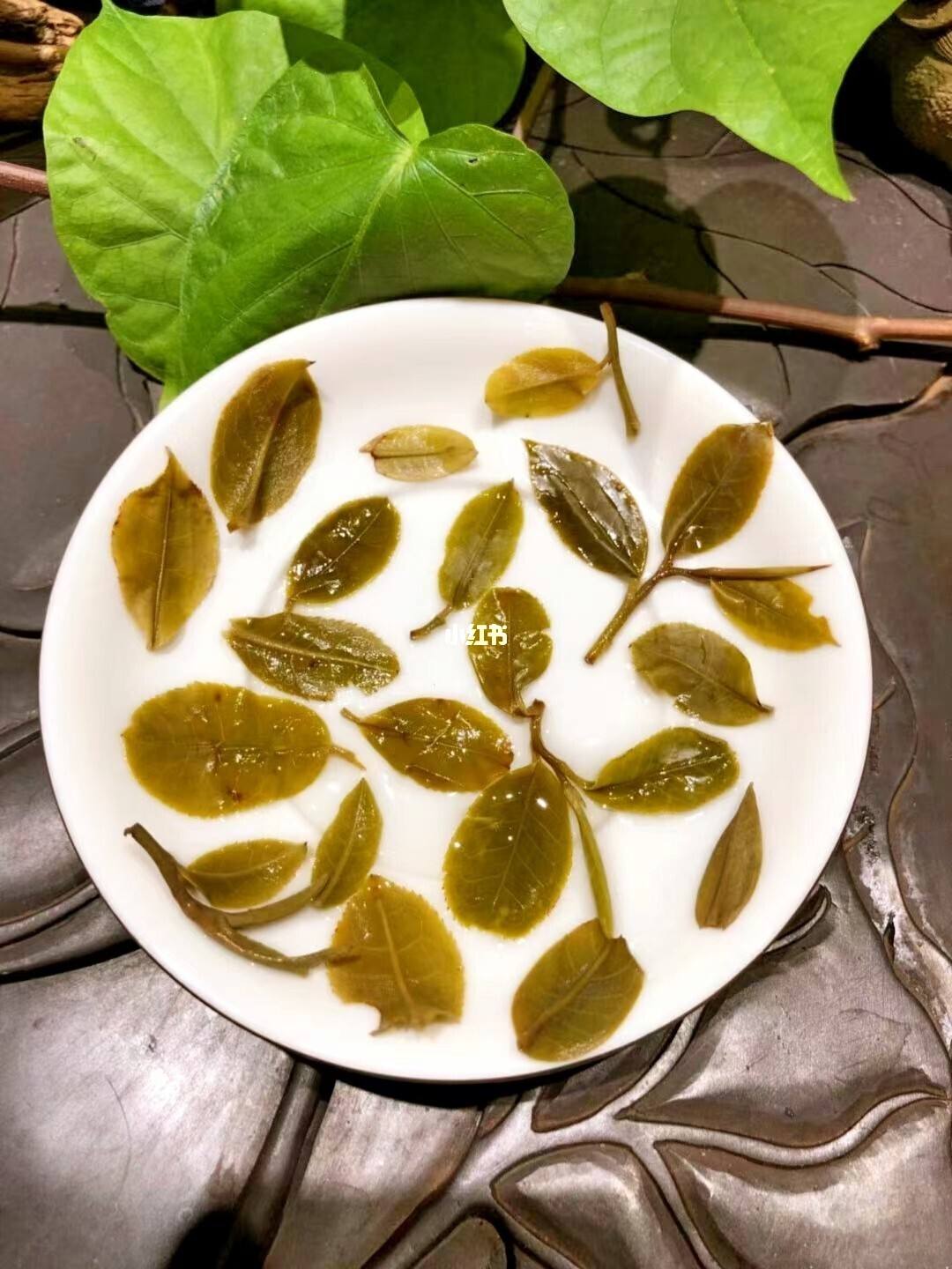 2022年倚邦貓耳朵古樹春茶多少錢一公斤？