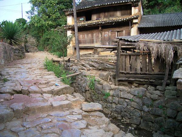 2022年蠻磚古樹春茶特點？