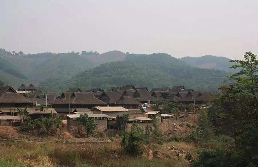 2022年革登古樹春茶特點(diǎn)？