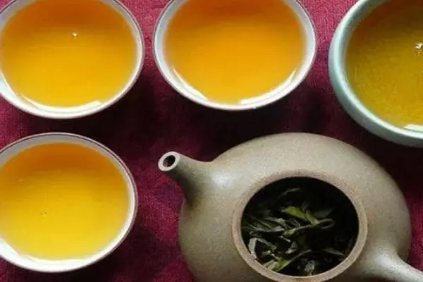 2022年普洱茶怎么泡法才正確？