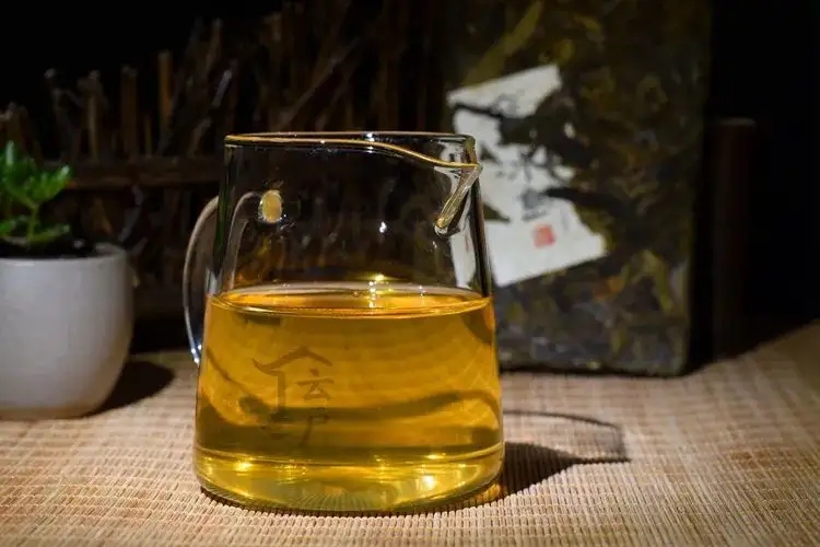 有茶油的普洱茶正常嗎？茶油是如何形成的？