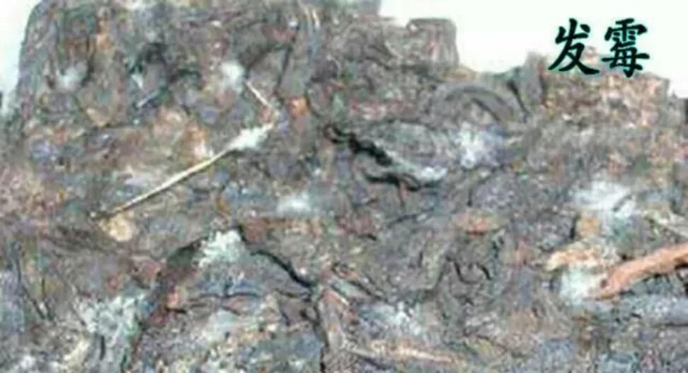 普洱茶受潮怎么處理？