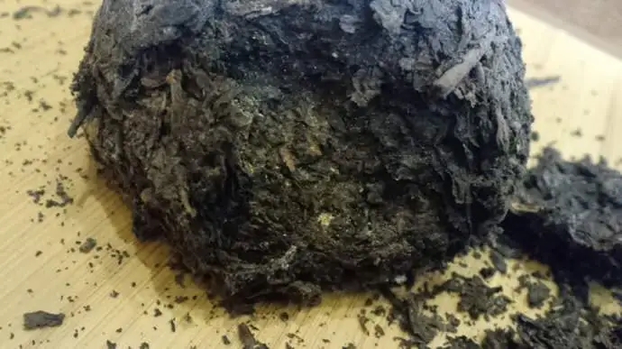 普洱茶蟲子怎么辦？