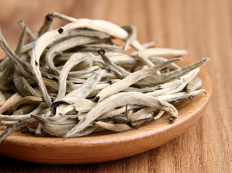 福鼎白茶、安吉白茶、云南月光白“三白”的區(qū)別