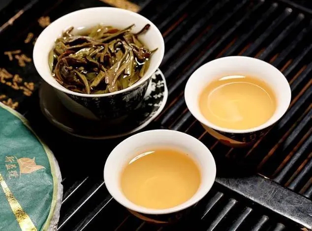 茶會(huì)“說話”，讀懂云南古樹普洱茶的秘訣