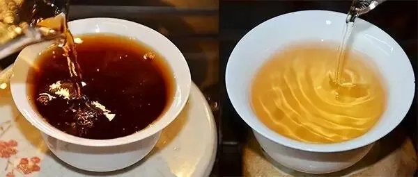 普洱茶湯怎么也會“出油”？
