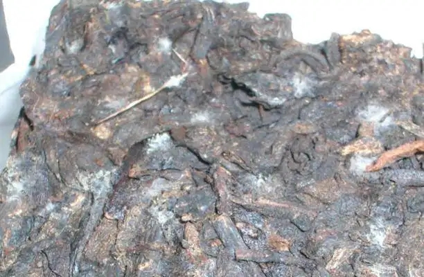 ?普洱茶發(fā)霉了怎么辦？教你妙招應對發(fā)霉的普洱茶！