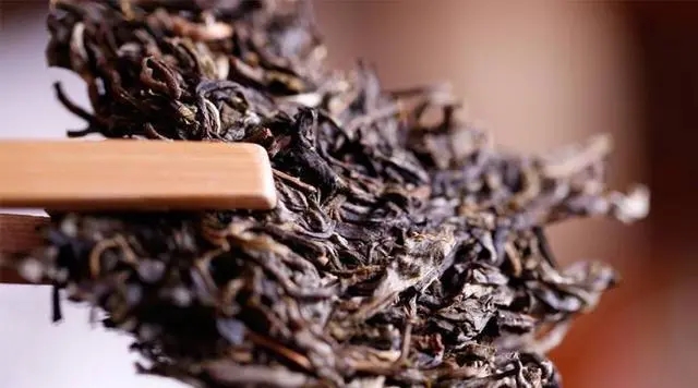 普洱生茶好還是普洱熟茶好喝？如何挑選適合自己的普洱茶？