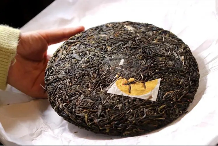 犀牛塘 | 古韻留香，帕沙之王