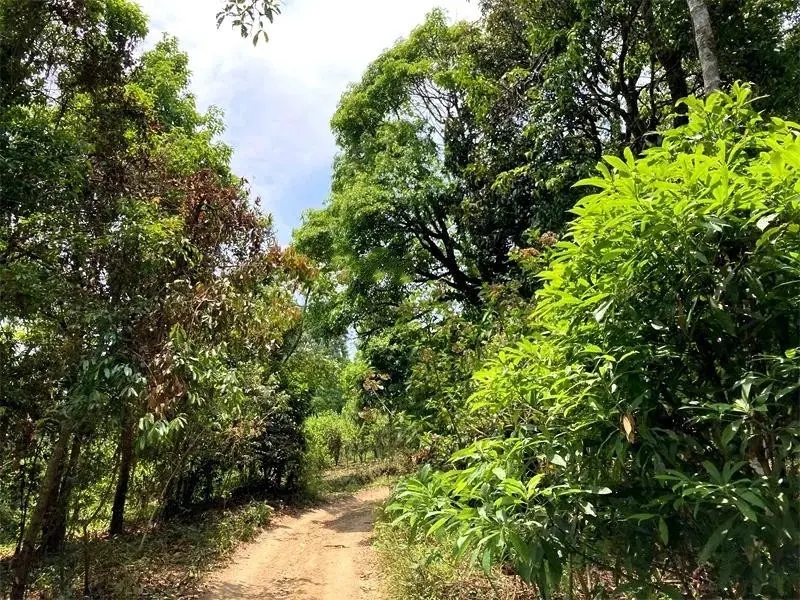 茶山紀(jì)實(shí)：犀牛塘，最近能火是有原因的