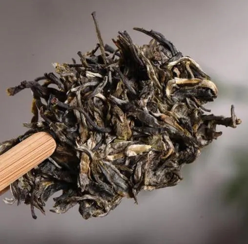 茶無貴賤！這些不知名的山頭，其實也產(chǎn)優(yōu)質(zhì)普洱茶！