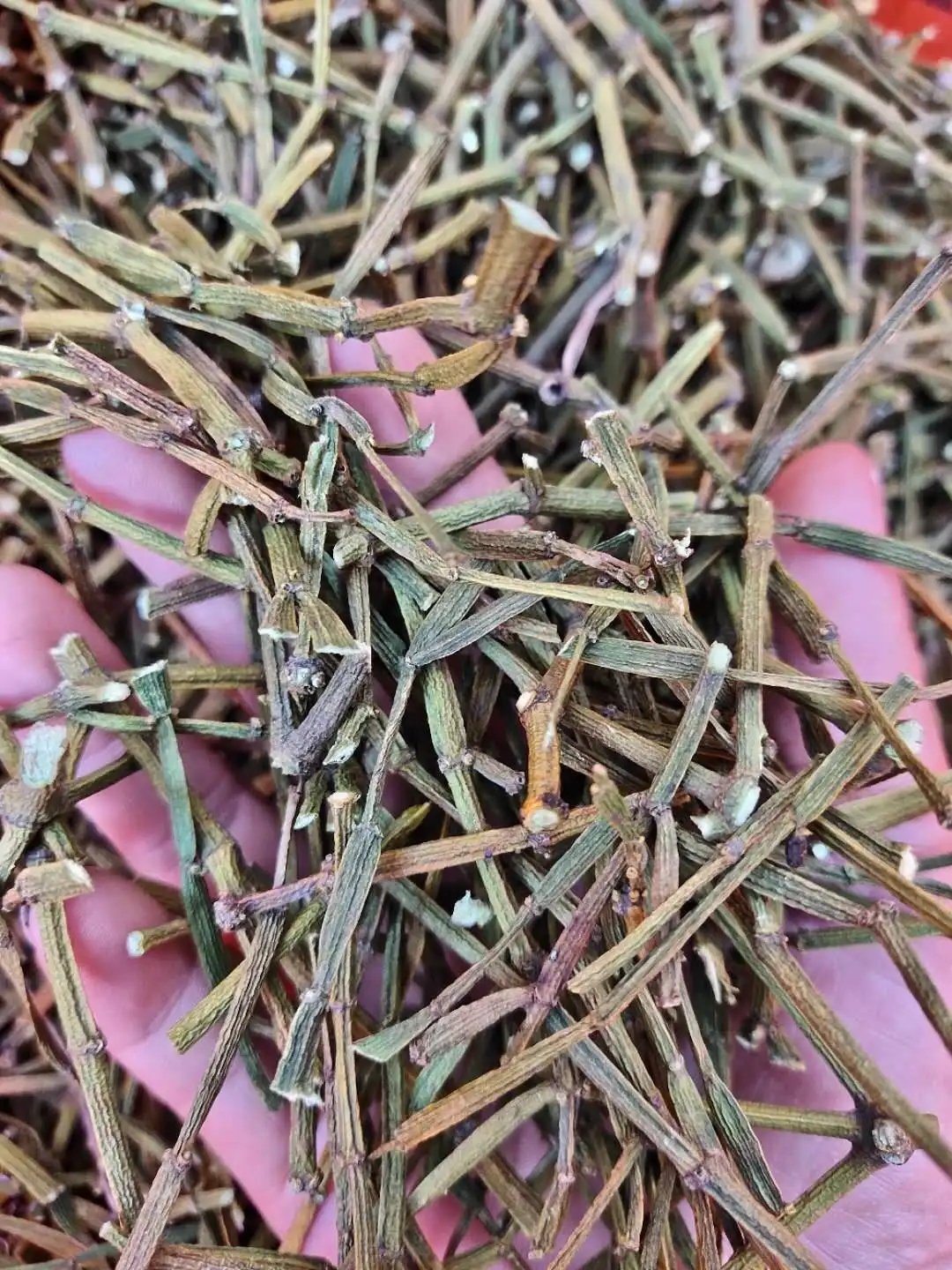 干貨 | 什么是茶界的螃蟹腳？