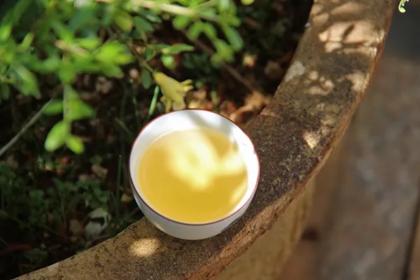 普洱茶越苦澀就代表品質(zhì)越好嗎？