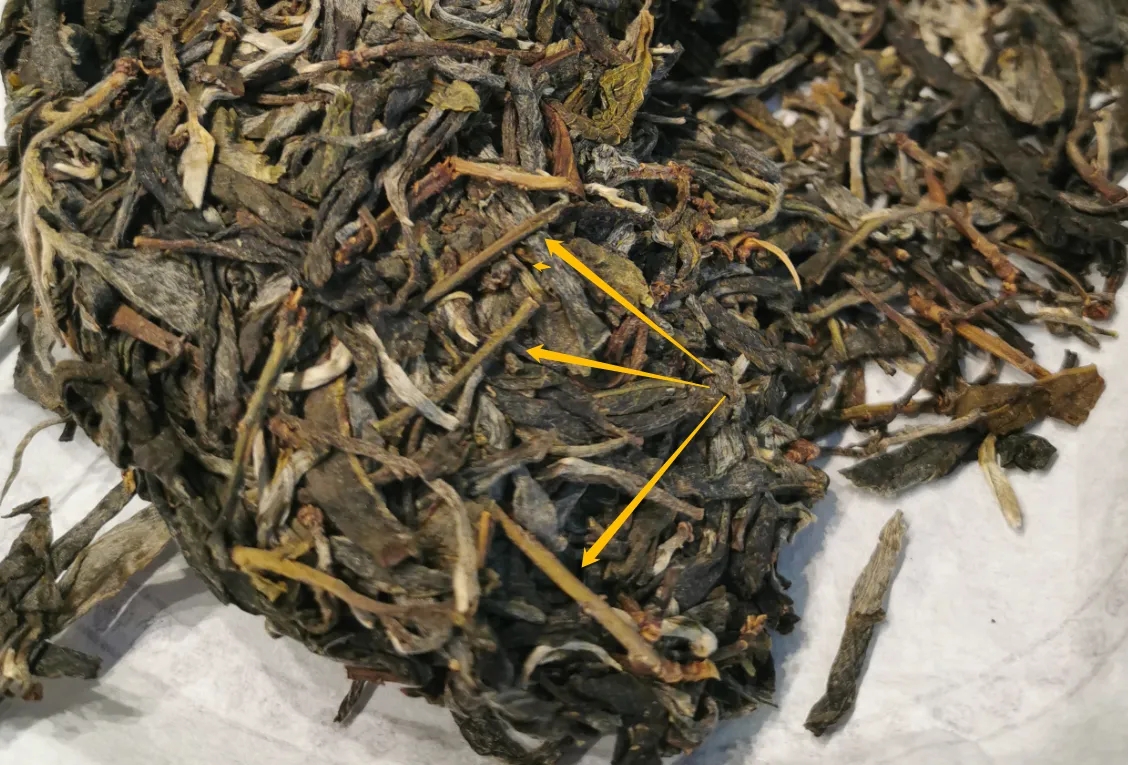 普洱茶的葉底有茶梗，就是茶不好嗎？