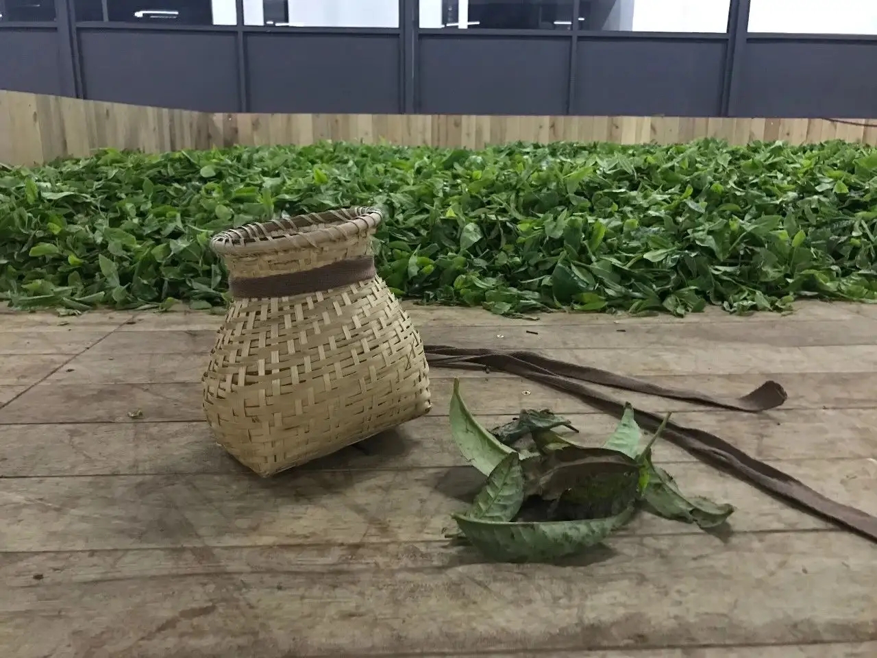 普洱茶，如果不談山頭，我們談什么？