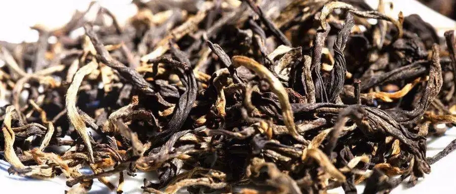 什么是茶氣？茶氣強(qiáng)勁又是一種怎樣的體驗(yàn)？