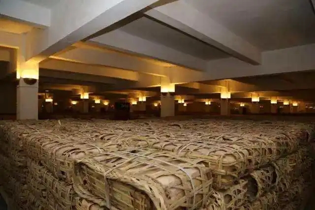 云南古樹普洱茶好在哪？相比小樹茶、臺地茶有何不同？