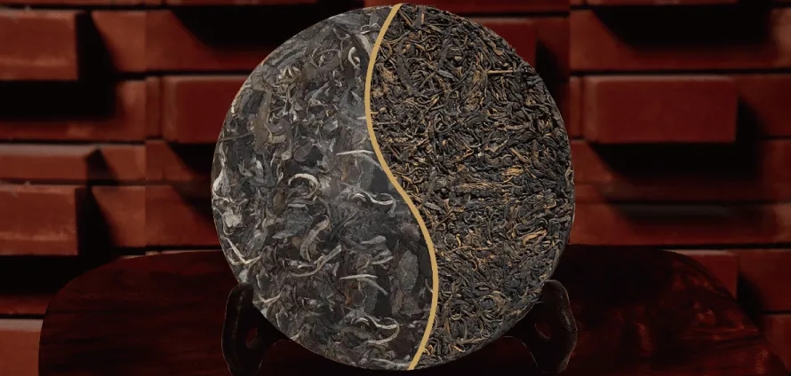 一入普門深似海？入普洱門前，你需要了解這些